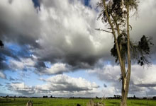 上海女排逆转天津，全运会资格赛展现战术升级与坚韧斗志.