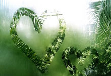 188Bet：[国际足球]安联球场为“足球皇帝”亮灯.