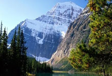 “县域游”“滨海游”“赏花游”热力足 文旅市场释放高质量发展新潜力2025-02-24.