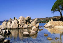 [中超]奥斯卡直塞禁区 武磊插上抽射得分.